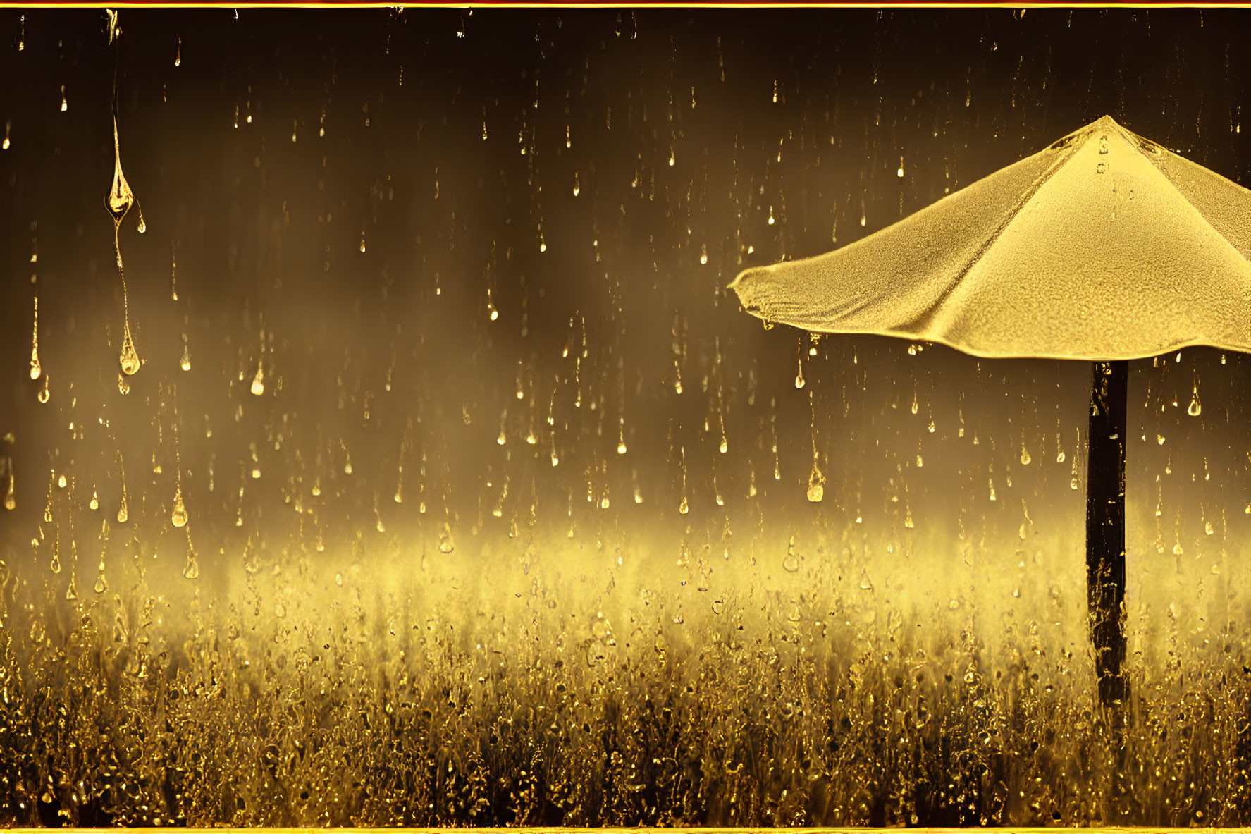 Solitary umbrella in golden rain shower creates moody scene