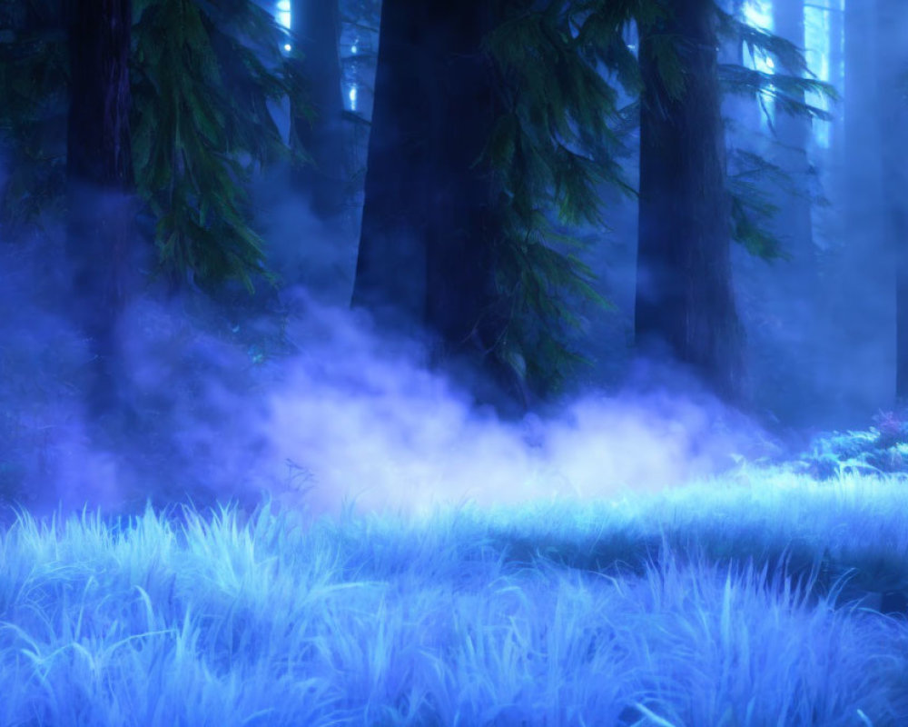 Purple-tinged forest with fog and light filtering through trees