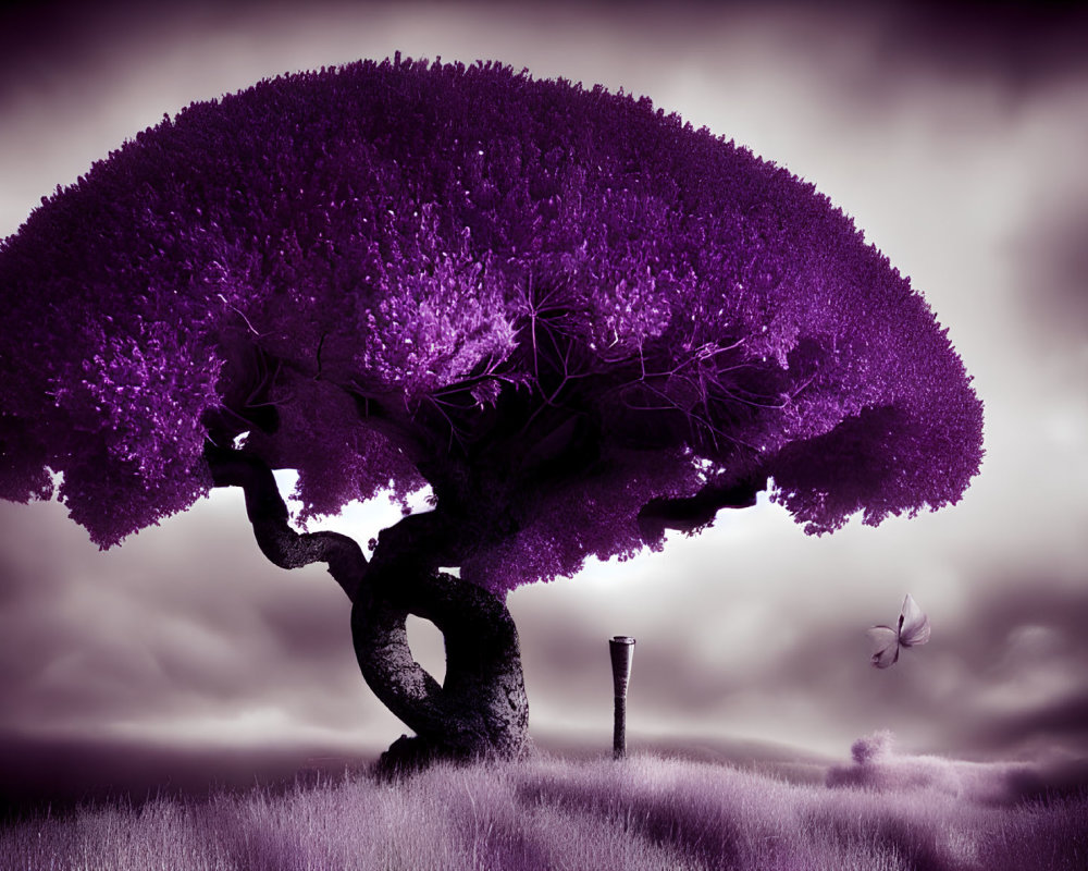 Surreal purple tree with twisted trunk in grassy field under cloudy sky.