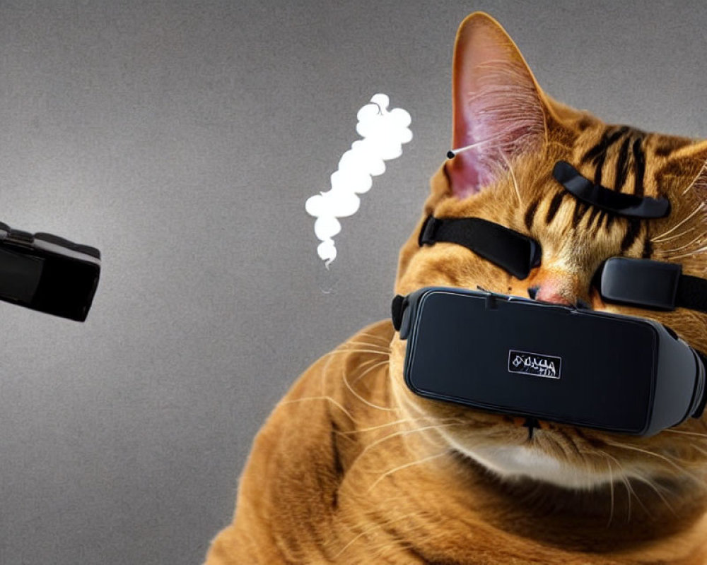 Surprised cat wearing VR headset with thought bubble and floating briefcase on gray background