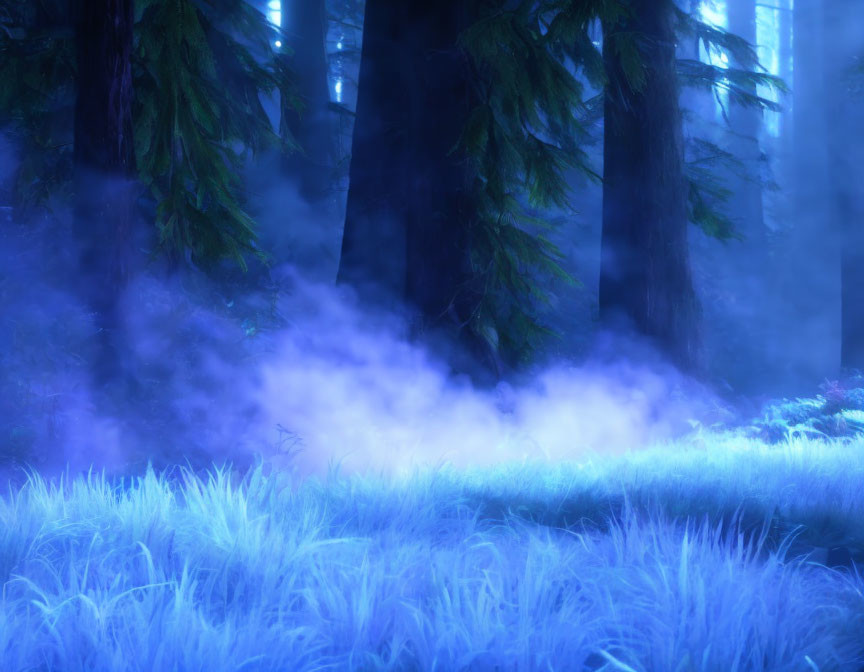 Purple-tinged forest with fog and light filtering through trees