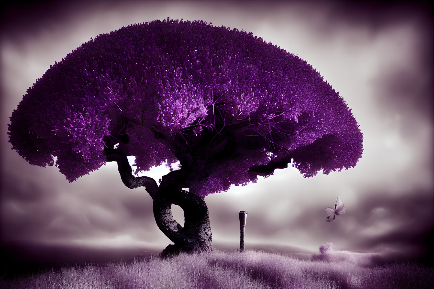 Surreal purple tree with twisted trunk in grassy field under cloudy sky.