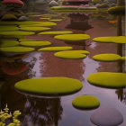 Tranquil Water Scene with Stepping Stones and Flowering Trees