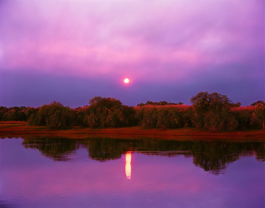 Tranquil purple sunset over water with tree silhouettes