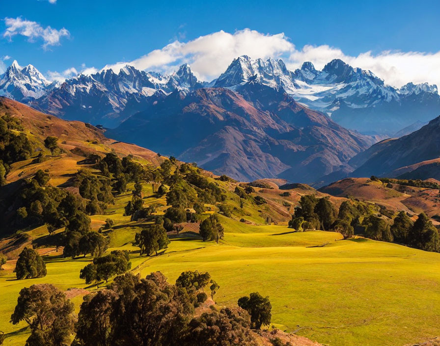 Scenic landscape with green meadows and snow-capped mountains