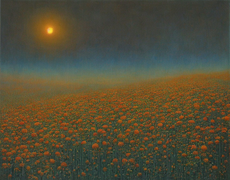 Marigold field under hazy sky with dim sun.