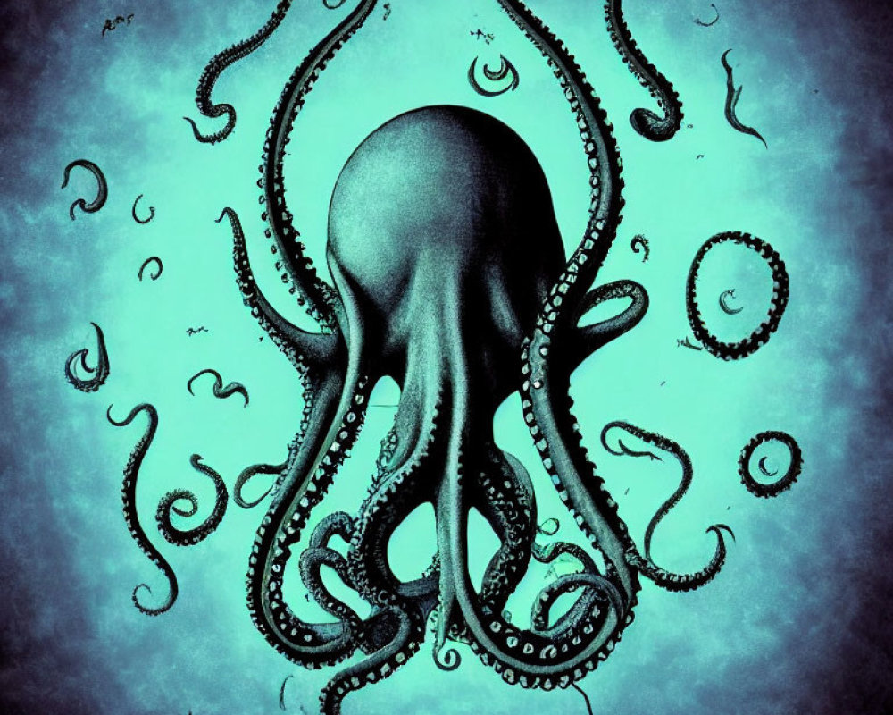 Octopus Artwork with Extended Tentacles on Turquoise Background