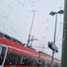 Macro shot of water droplets on spider web with spiders, red backdrop.