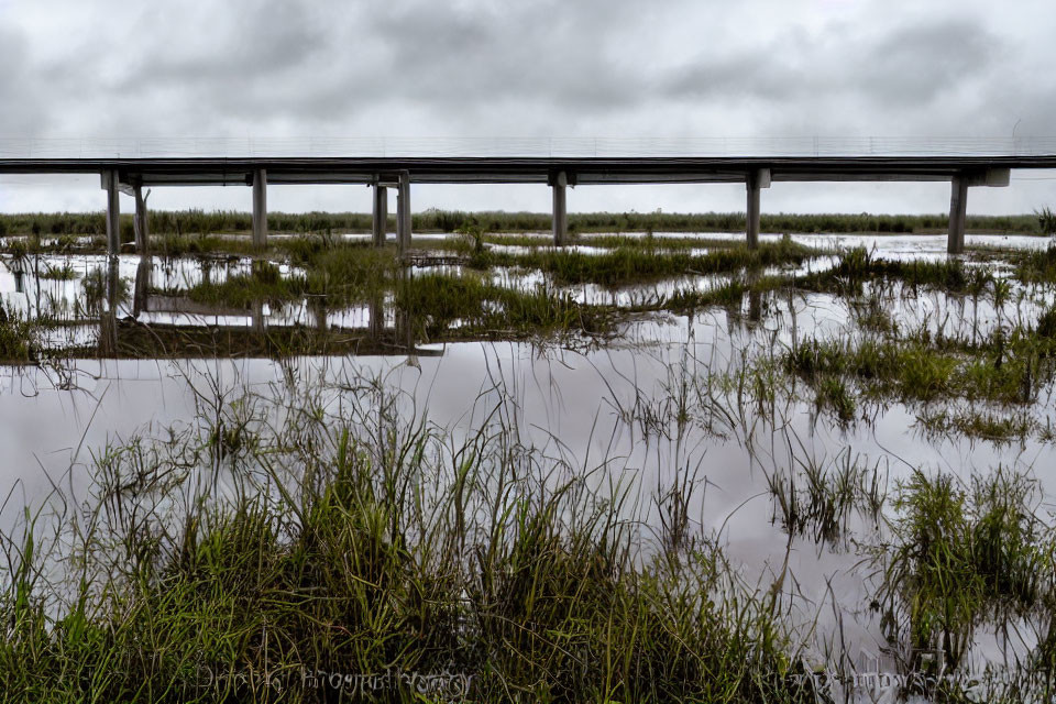 Wooden Boardwalk Over Marshy Field Reflecting in Water Under Cloudy Sky