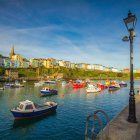 Tranquil river scene with boats, plants, houses, birds, and crescent moons