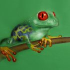 Fantastical lizard-like creature with avian features on branch with steampunk goggles.