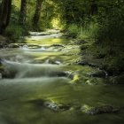 Charming Countryside Scene with Cottages and River