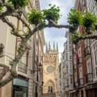 Charming Narrow Street with Pastel Buildings and Trees