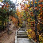 Whimsical Wooden House in Autumn Landscape Setting