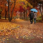 Couple Walking on Autumn Path with Colorful Foliage