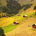 Cozy Cottages in Vibrant Autumn Landscape