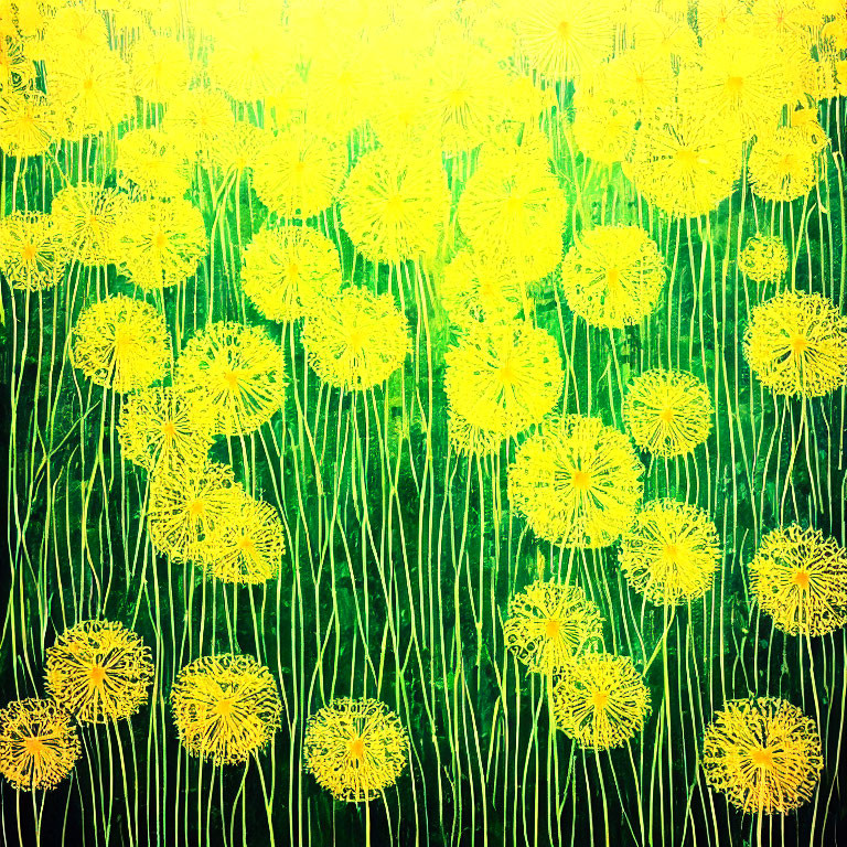 Bright yellow dandelion-like flowers on lush green background