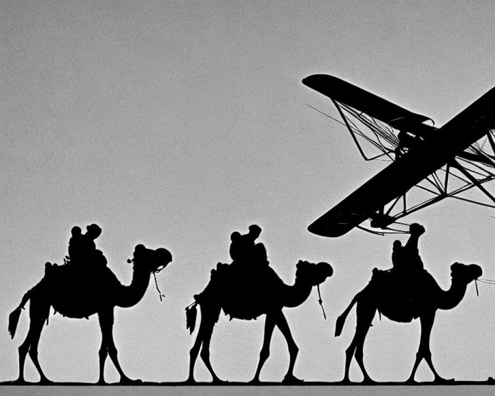 Silhouette of camels walking past biplane on light background