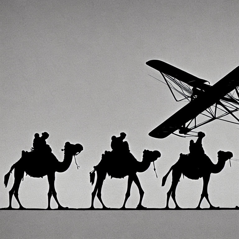 Silhouette of camels walking past biplane on light background