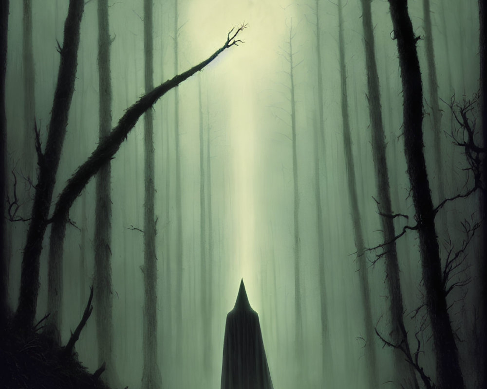 Misty forest scene with cloaked figure and beam of light