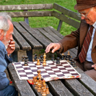 Elderly men playing chess in park on sunny day