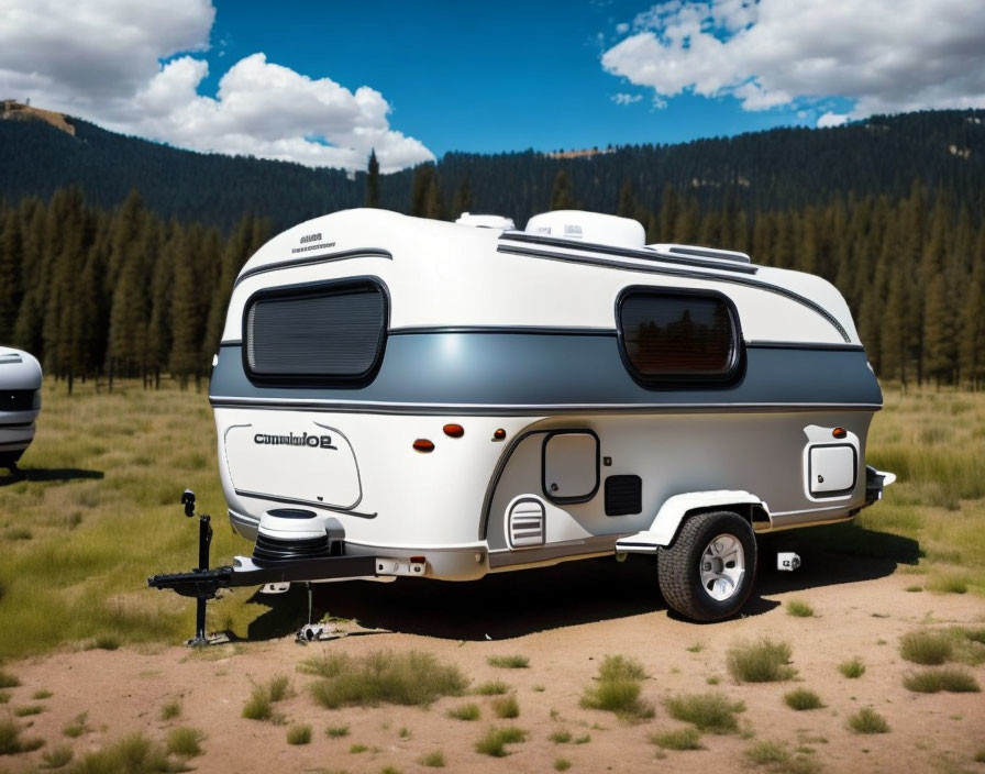 Small White Retro Travel Trailer in Pine Tree Clearing