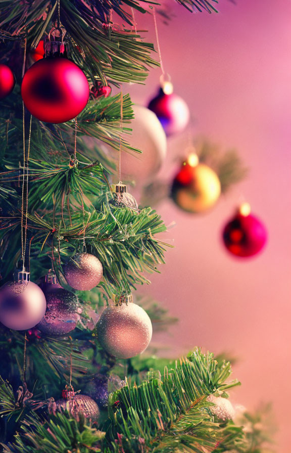 Colorful Christmas tree branch with pink, purple, and silver ornaments