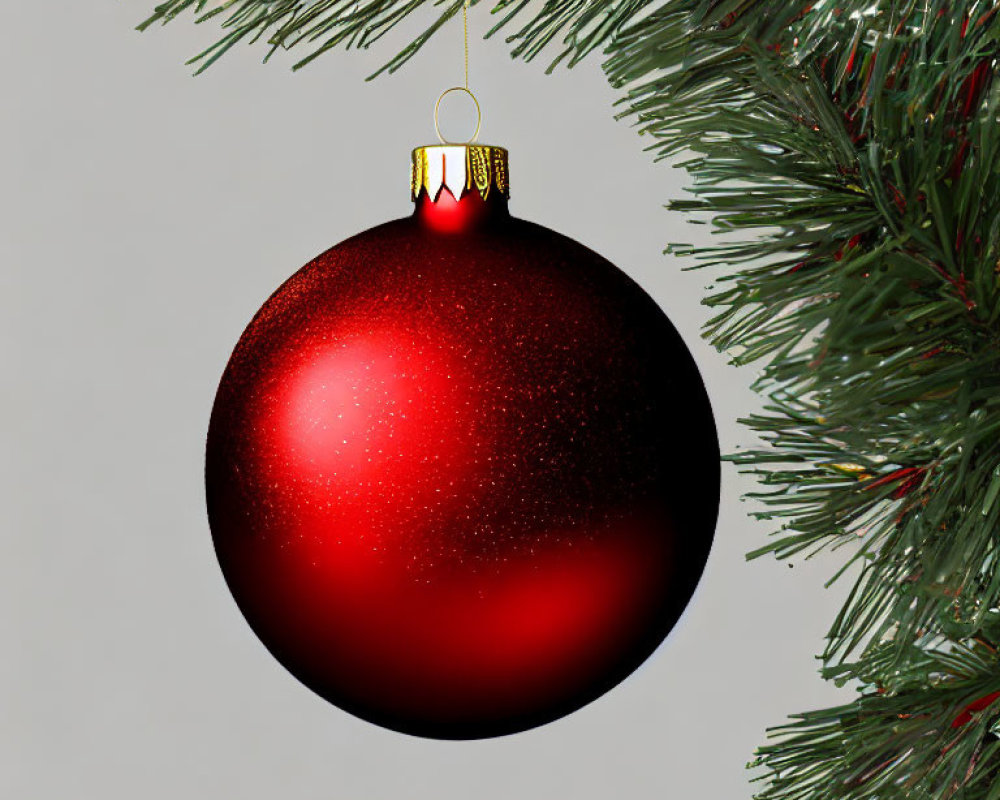 Shiny Red Christmas Bauble Hanging from Green Pine Branch