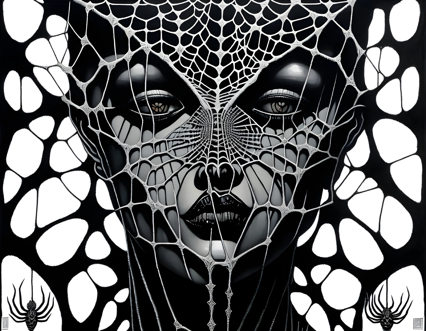 Monochrome artwork: Face hidden by spider web design.