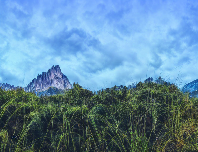 Scenic view of tall grass and rugged mountain peaks under dramatic sky