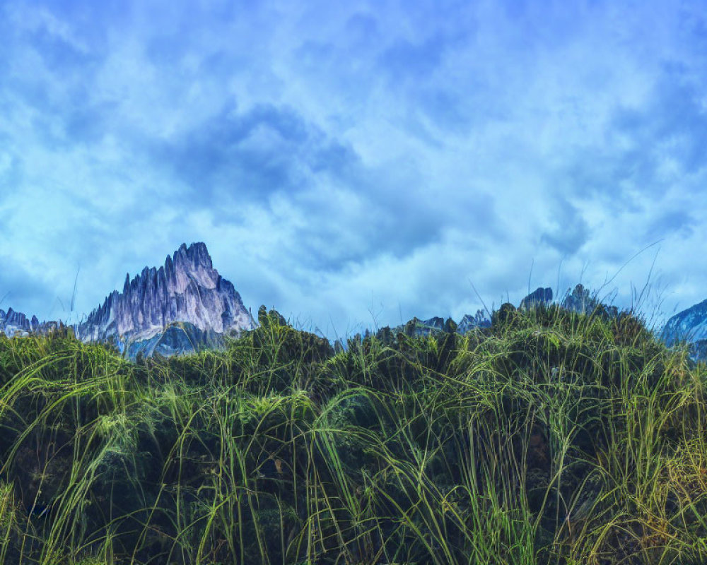 Scenic view of tall grass and rugged mountain peaks under dramatic sky