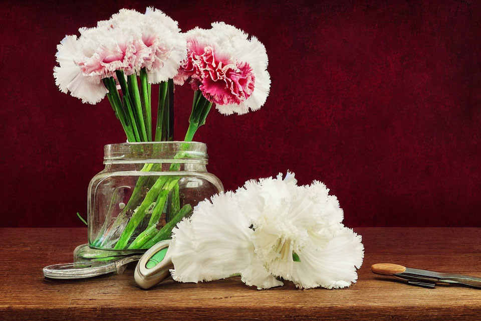 Glass jar with pink and white carnations on wooden surface, dark red backdrop, fallen flower, and