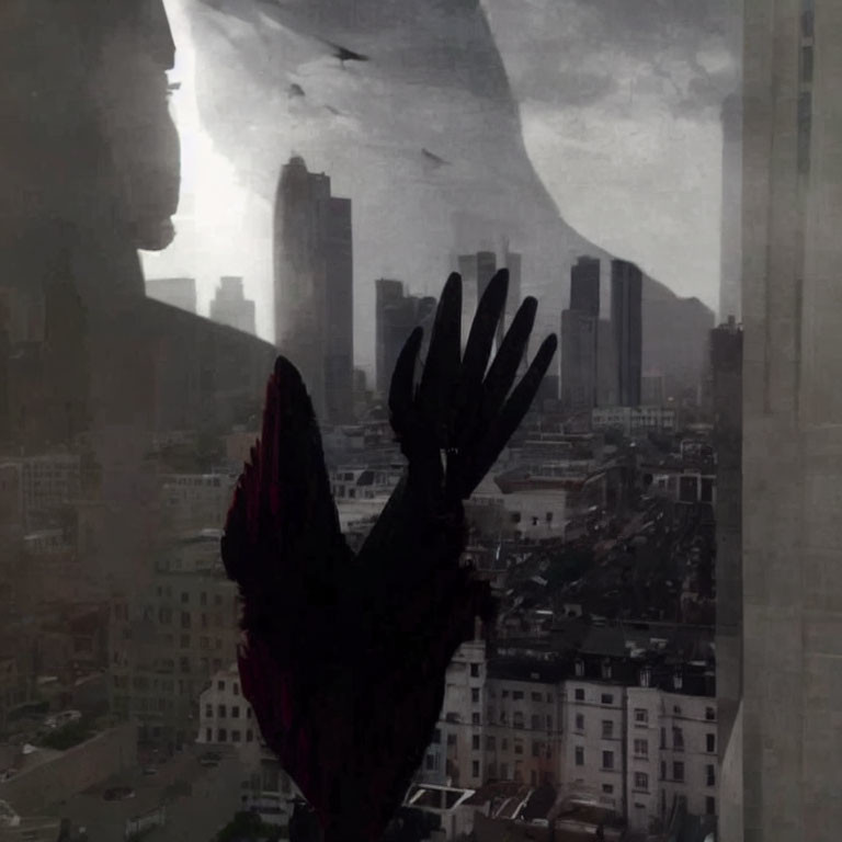 Silhouette of person at window with gloomy cityscape and flying birds