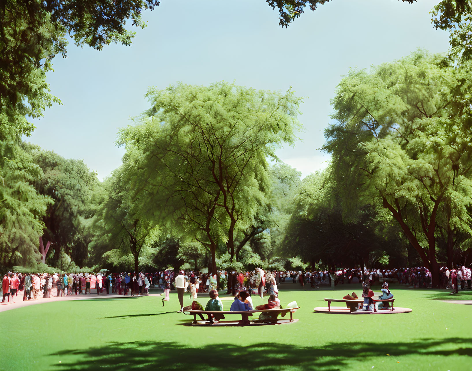 Park scene on a sunny day with people enjoying greenery