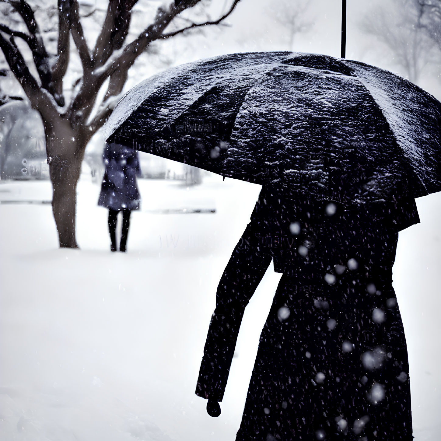 Silhouette of Person with Umbrella in Snowfall