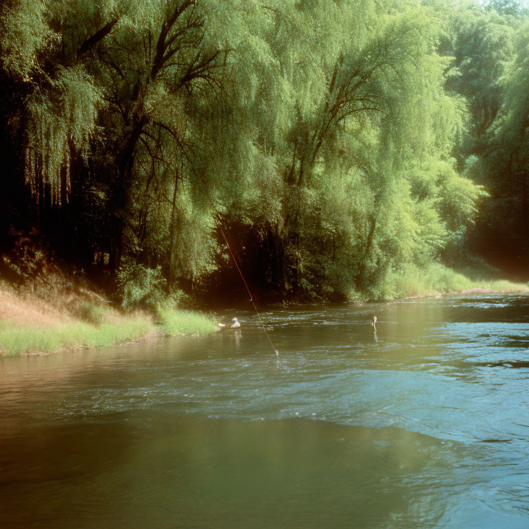 Tranquil river scene with two people fishing amid lush greenery