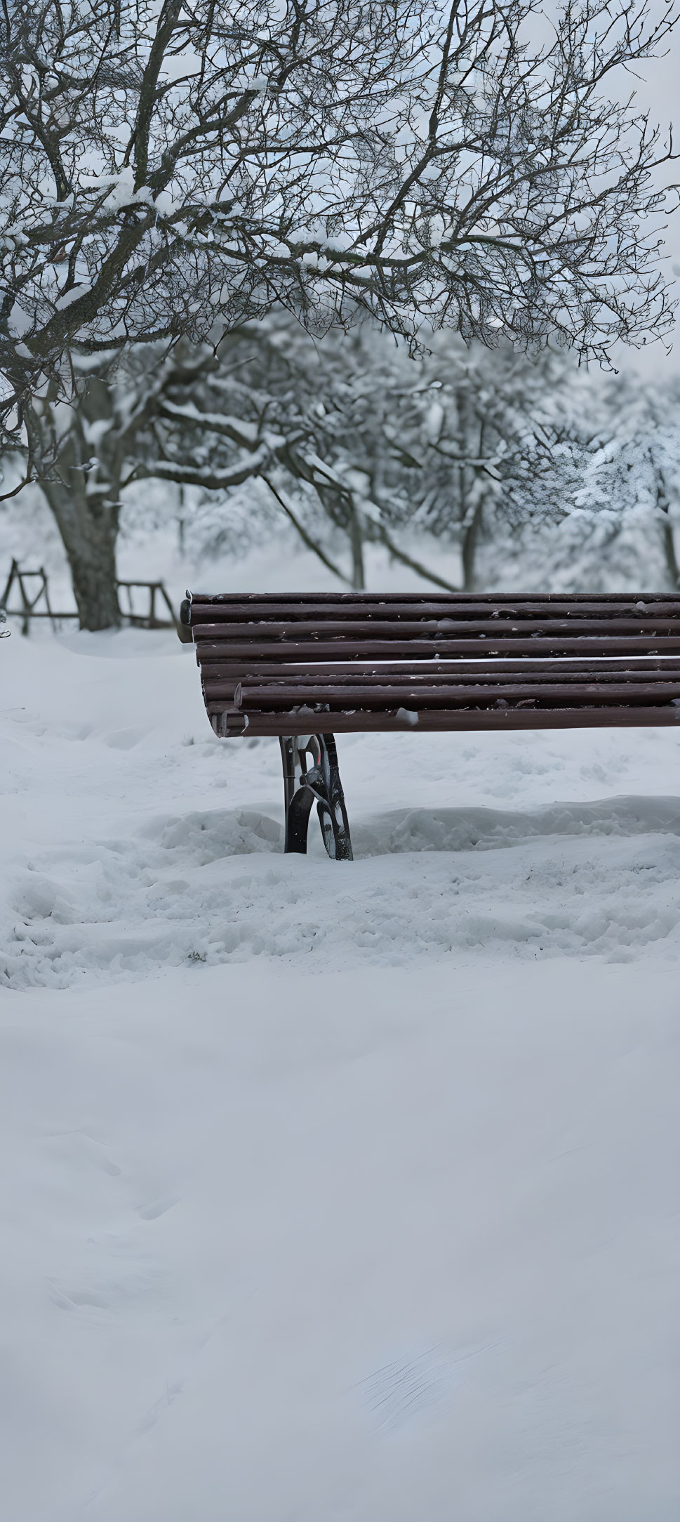 Snow-covered park with buried bench and winter trees