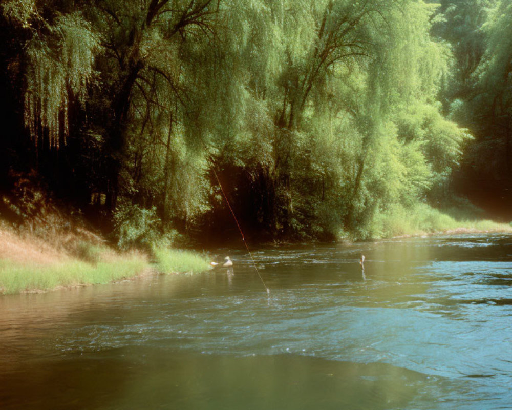 Tranquil river scene with two people fishing amid lush greenery