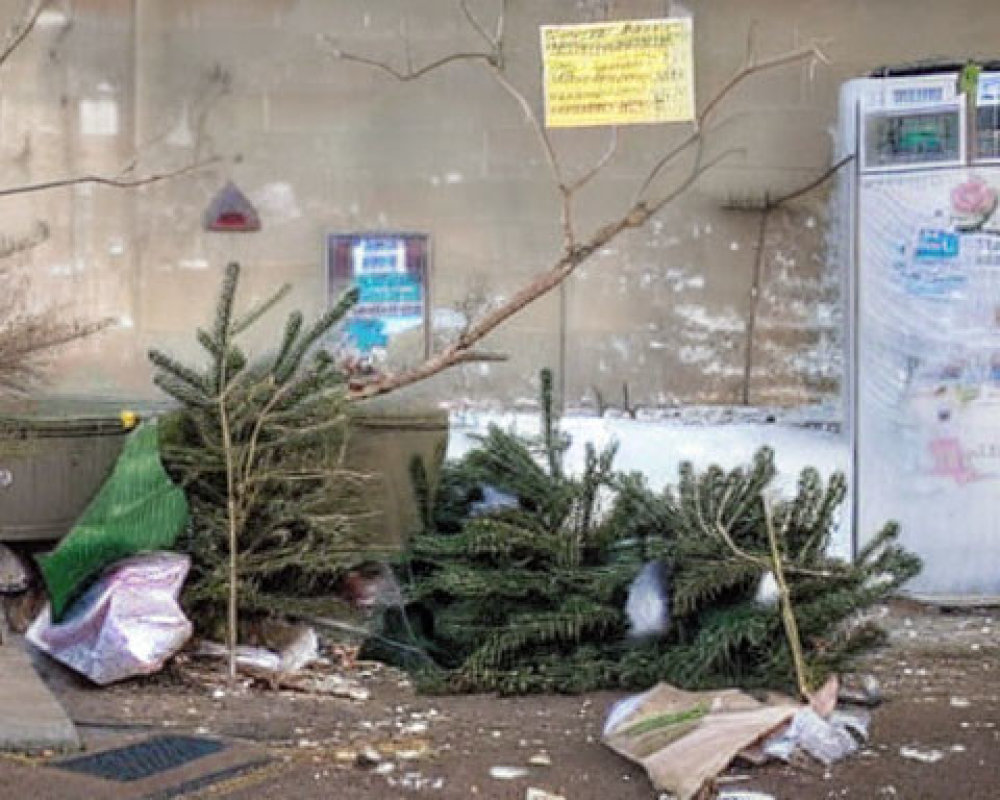 Abandoned Christmas trees and trash in urban setting with vending machines.