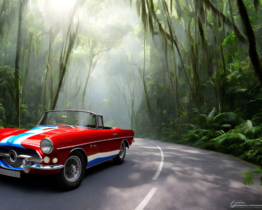 Red and White Convertible Car in Forest Setting