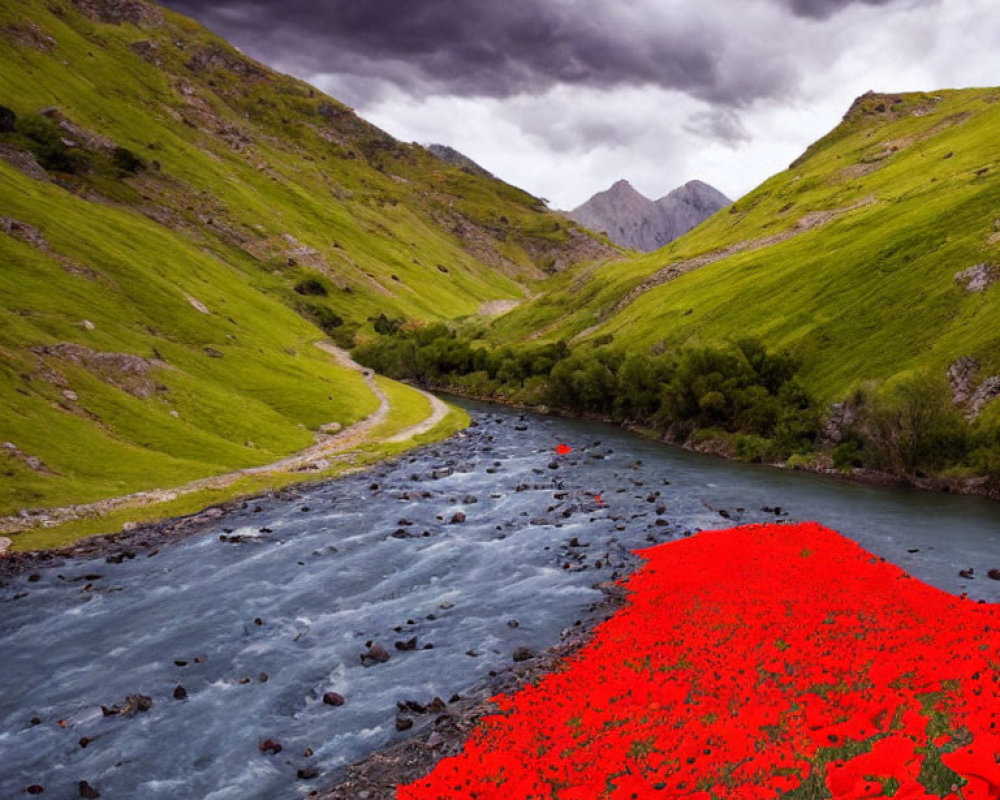 Scenic river flowing through green valley with poppies and mountains