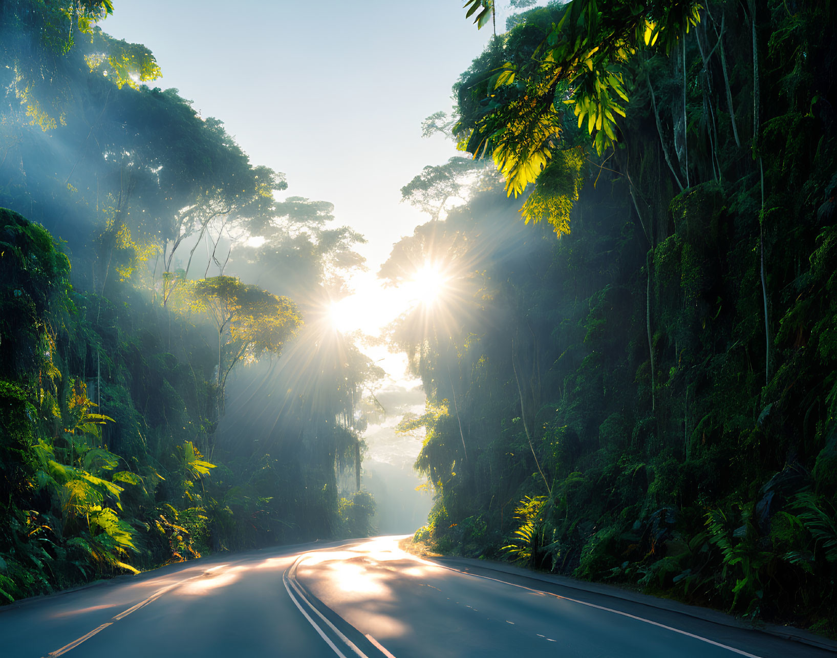 Misty sunrise over tropical rainforest road