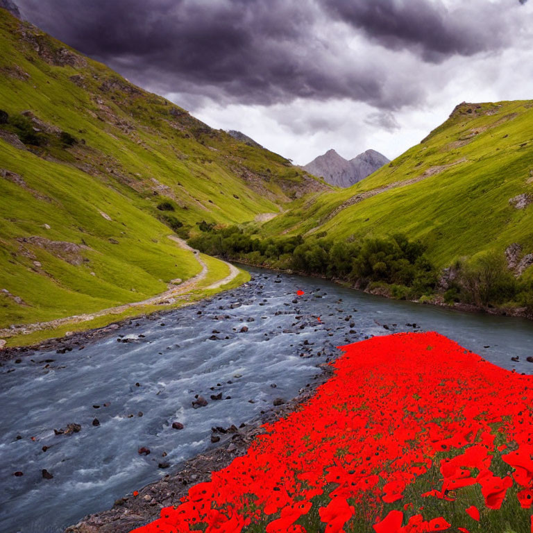 Scenic river flowing through green valley with poppies and mountains