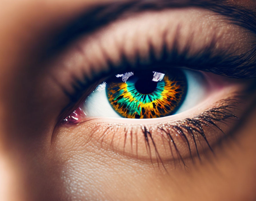 Detailed Close-Up of Vibrant Multicolored Human Eye