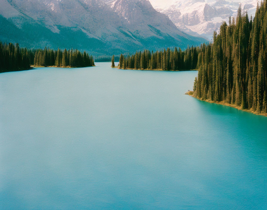 Tranquil Lake Surrounded by Evergreen Forests and Snowy Peaks