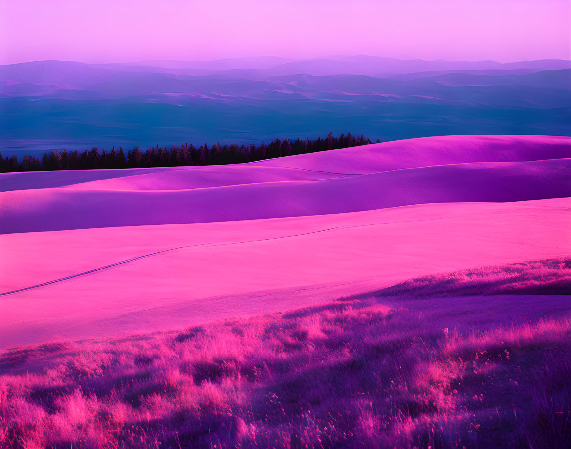 Vibrant Pink and Purple Landscape with Dunes and Mountains