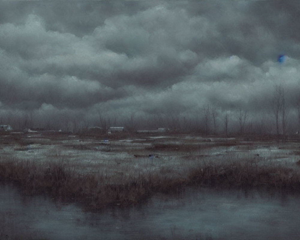 Vast marsh landscape under heavy, cloud-laden sky