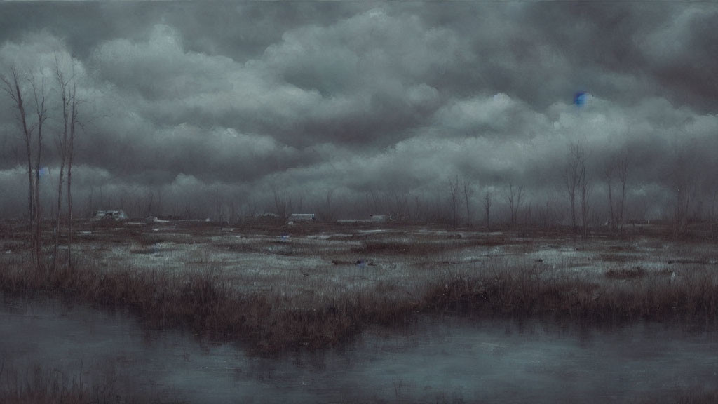 Vast marsh landscape under heavy, cloud-laden sky