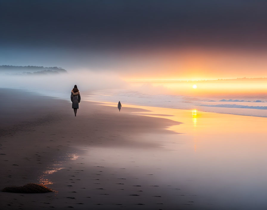 Misty sunrise beach walk with dog and sun's reflection