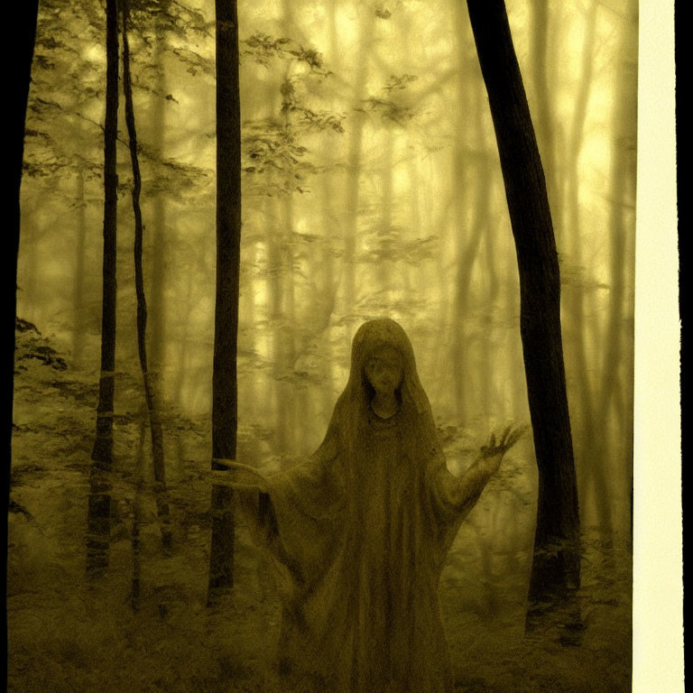 Ghostly Figure in Shroud Among Misty Trees in Haunted Forest